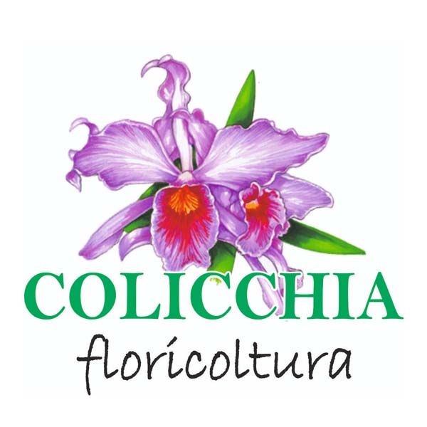 colicchia Floricoltura